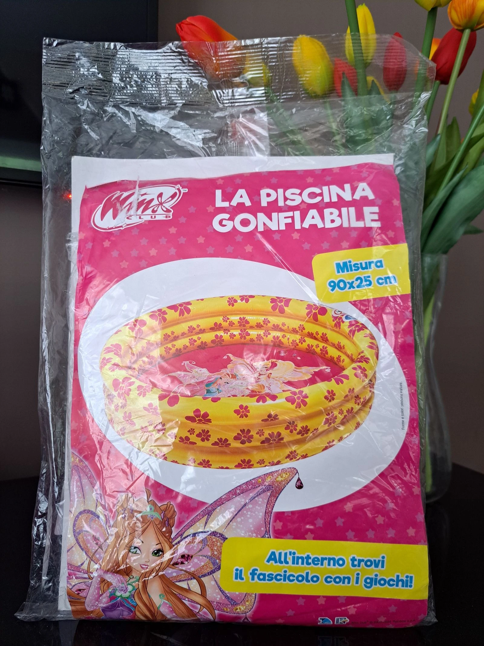 Piscine gonflable winx club